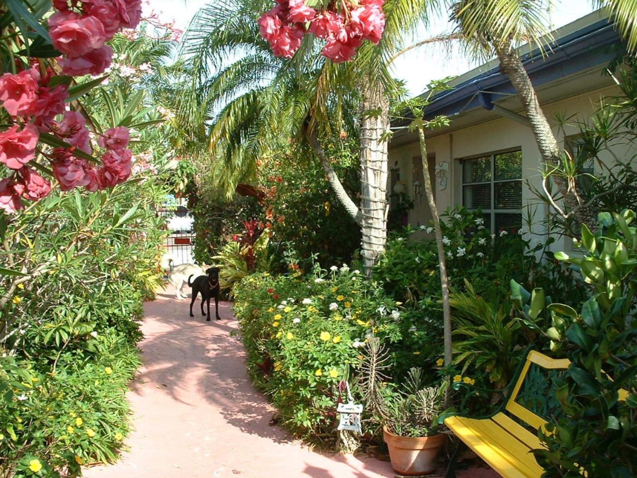 Affordable Beach Condos - One Bedroom Dlx Condos St. Pete Beach Exteriér fotografie