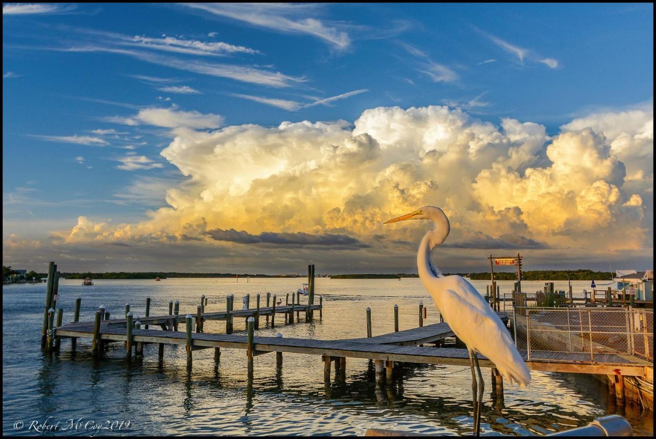 Affordable Beach Condos - One Bedroom Dlx Condos St. Pete Beach Exteriér fotografie